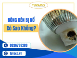 Bóng Đèn Bị Nổ Có Sao Không? Tìm Hiểu Ngay