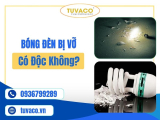 Bóng Đèn Bị Vỡ Có Độc Không? Cách Xử Lý Bóng Đèn Vỡ An Toàn Đơn Giản