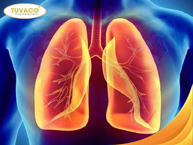Ảnh hưởng đến hệ hô hấp
