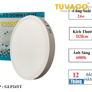 ĐÈN ỐP TRẦN NỔI 24W