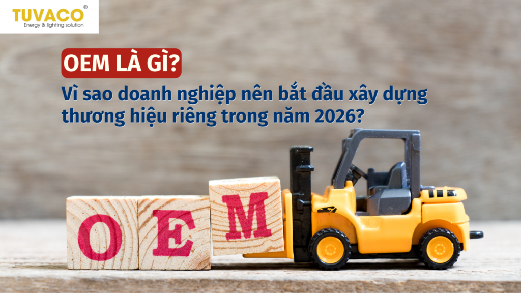 OEM đèn là gì? Vì sao nhiều doanh nghiệp bắt đầu xây dựng thương hiệu riêng trong năm 2026?