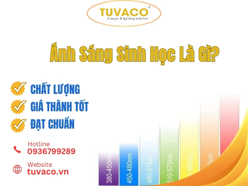 Ánh Sáng Sinh Học Là Gì? Cơ Chế Hoạt Động Và Ứng Dụng Thực Tế