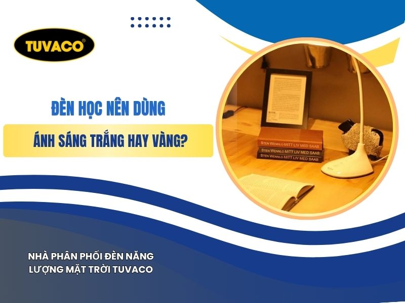 Đèn Học Nên Dùng Ánh Sáng Trắng Hay Vàng?