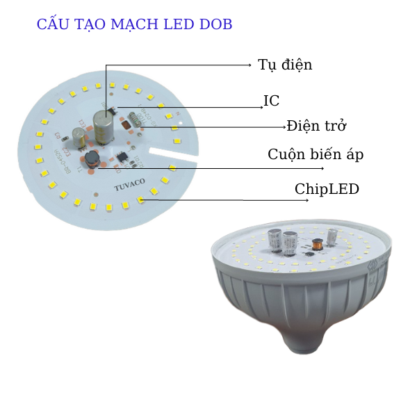 Tư vấn mua đèn búp trụ