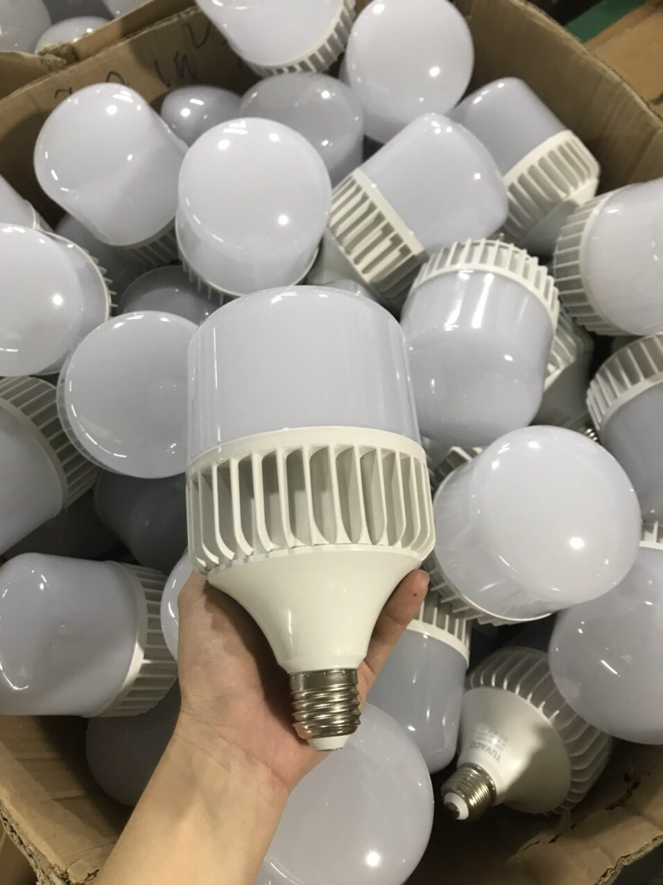 Đơn vị cung cấp đèn led bup trụ cao cấp
