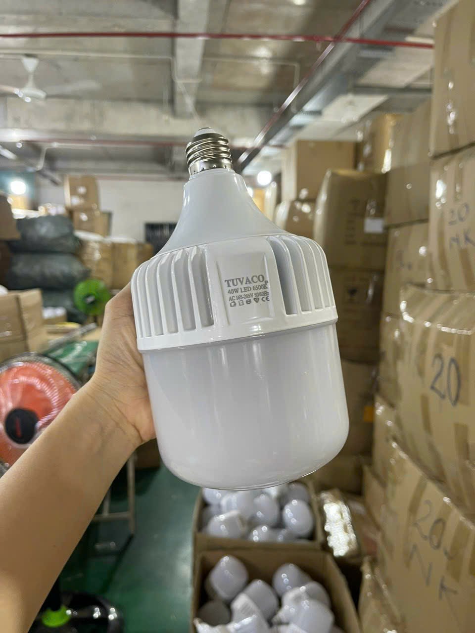 đèn LED búp trụ