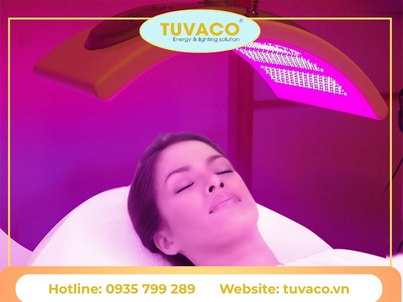 Cơ chế tác động của ánh sáng sinh học đến cơ thể con người