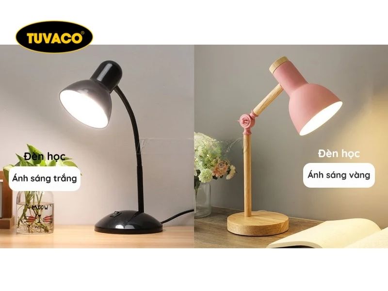 Vì Sao Ánh Sáng Đèn Học Quan Trọng?