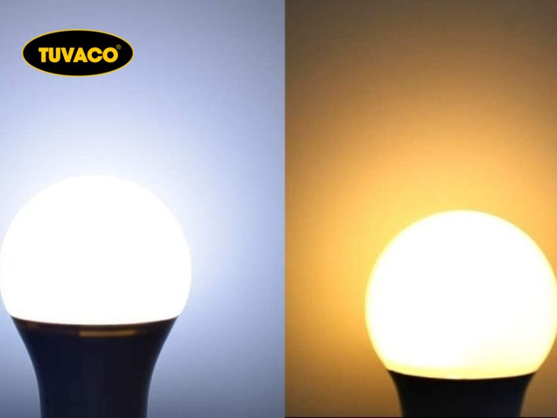 Đèn Học Nên Dùng Ánh Sáng Trắng Hay Vàng?