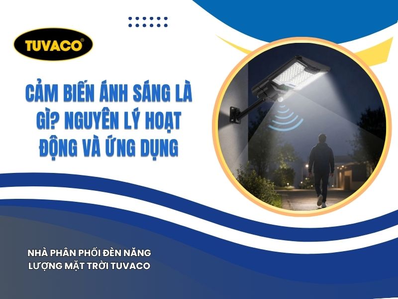 Cảm Biến Ánh Sáng Là Gì? Nguyên Lý Hoạt Động, Ứng Dụng